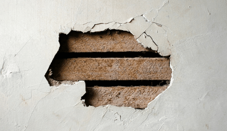 housing disrepair claims