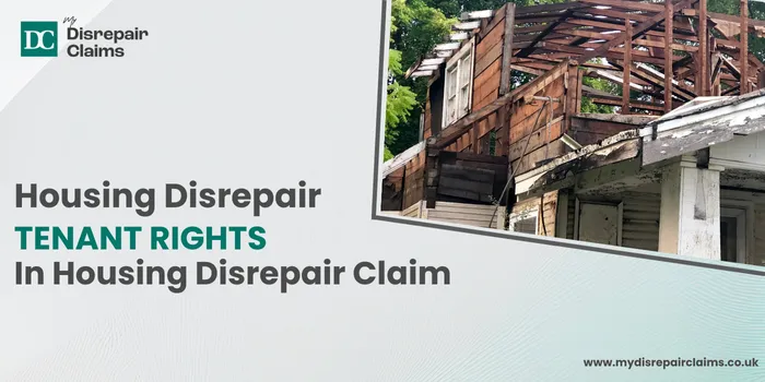 Housing Disrepair Tenant Rights in Housing Disrepair Claim